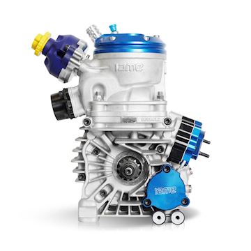 Engine Reedster V OK Complete IAME 