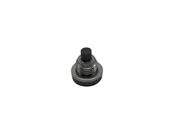 Magnetic plug for oil release Iame